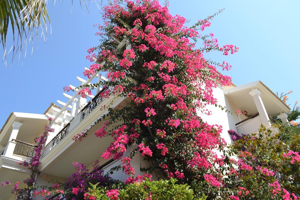 Delfino Blu Wellness Boutique Hotel Agios Stefanos Avliotes  Exteriör bild